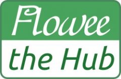 遇见Flowee Hub：功用丰厚的比特币现金验证器_imtoken设置中文
